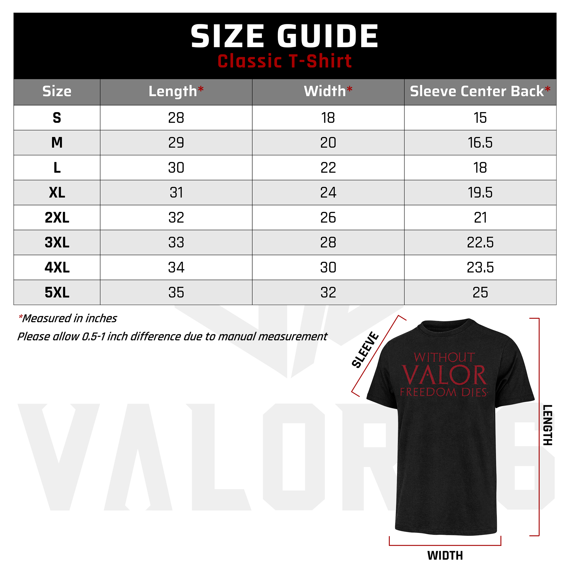 America 250 Years Classic T-shirt