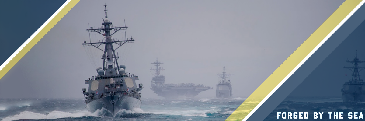 U.S.N Destroyer Veterans Collection