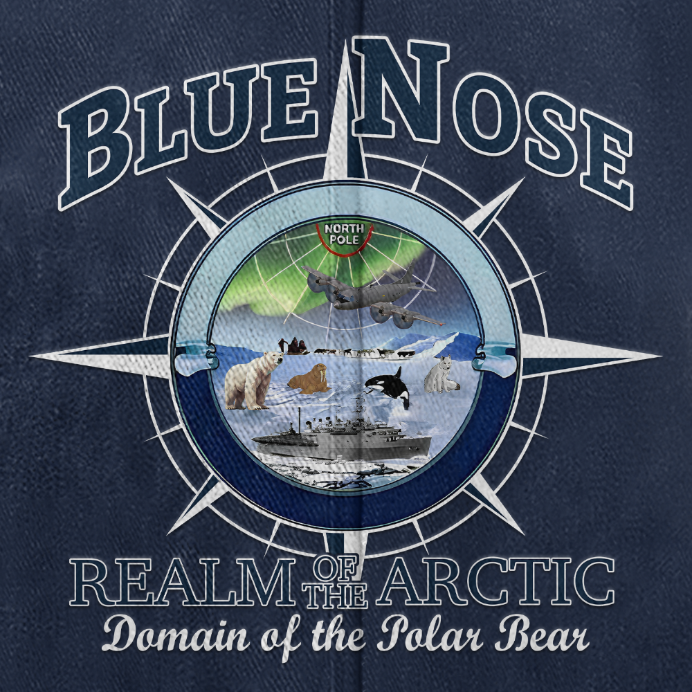 Personalizable Blue Nose Washed Cap