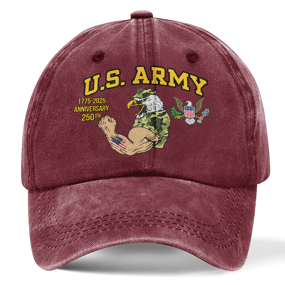 Army 250th Anniversary Washed Cap