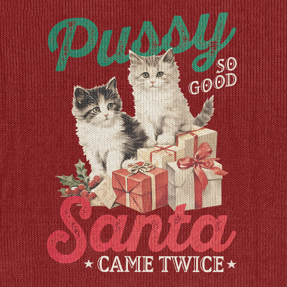 Santa Came Twice Knitted Sweatshirt