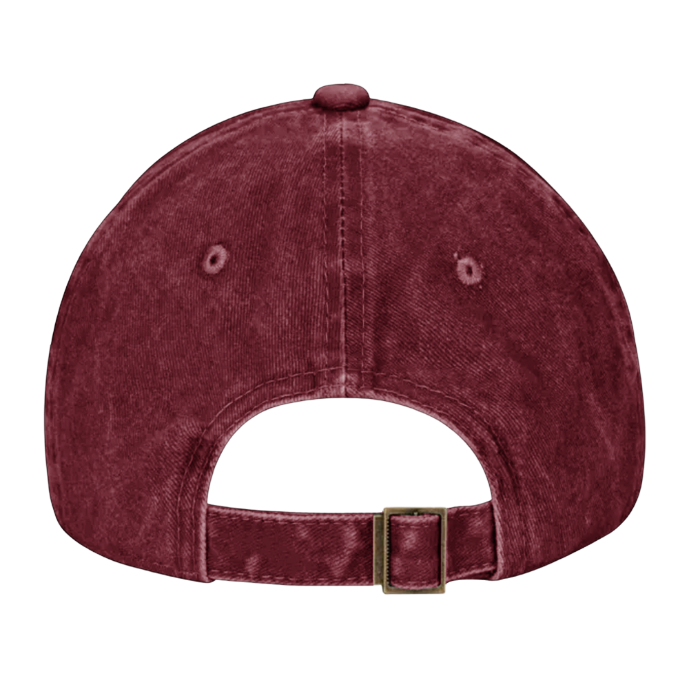 82nd Airborne Sky Warriors Washed Cap